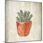 Spring Cactus 2-Kimberly Allen-Mounted Art Print