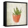 Spring Cactus 3-Kimberly Allen-Framed Stretched Canvas