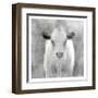 Spring Calf-Kimberly Allen-Framed Art Print