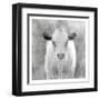 Spring Calf-Kimberly Allen-Framed Art Print