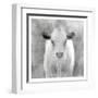 Spring Calf-Kimberly Allen-Framed Art Print