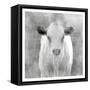 Spring Calf-Kimberly Allen-Framed Stretched Canvas