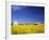 Spring Canola Crop-Terry Eggers-Framed Photographic Print