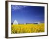 Spring Canola Crop-Terry Eggers-Framed Photographic Print