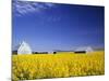 Spring Canola Crop-Terry Eggers-Mounted Photographic Print