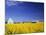 Spring Canola Crop-Terry Eggers-Mounted Photographic Print