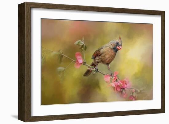 Spring Cardinal 1-Jai Johnson-Framed Giclee Print