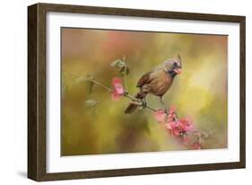 Spring Cardinal 1-Jai Johnson-Framed Giclee Print