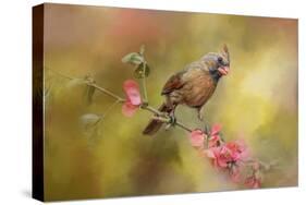 Spring Cardinal 1-Jai Johnson-Stretched Canvas