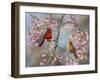 Spring Cardinals-Sarah Davis-Framed Giclee Print