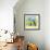 Spring Cat and Dog-Geraldine Aikman-Framed Giclee Print displayed on a wall