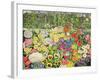 Spring Cats-Hilary Jones-Framed Giclee Print