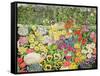 Spring Cats-Hilary Jones-Framed Stretched Canvas