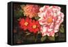 Spring Celebrations I-Giampaolo Pasi-Framed Stretched Canvas