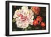 Spring Celebrations II-Giampaolo Pasi-Framed Premium Giclee Print