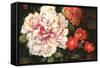 Spring Celebrations II-Giampaolo Pasi-Framed Stretched Canvas