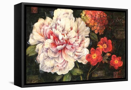 Spring Celebrations II-Giampaolo Pasi-Framed Stretched Canvas