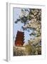 Spring Cherry Blossom at Senjokaku Five Storey Pagoda-Christian Kober-Framed Photographic Print