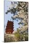 Spring Cherry Blossom at Senjokaku Five Storey Pagoda-Christian Kober-Mounted Photographic Print