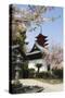 Spring Cherry Blossom at Senjokaku Five Storey Pagoda-Christian Kober-Stretched Canvas