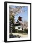 Spring Cherry Blossom at Senjokaku Five Storey Pagoda-Christian Kober-Framed Photographic Print