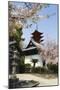 Spring Cherry Blossom at Senjokaku Five Storey Pagoda-Christian Kober-Mounted Photographic Print