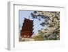 Spring Cherry Blossom at Senjokaku Five Storey Pagoda-Christian Kober-Framed Photographic Print