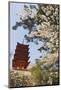 Spring Cherry Blossom at Senjokaku Five Storey Pagoda-Christian Kober-Mounted Photographic Print