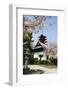 Spring Cherry Blossom at Senjokaku Five Storey Pagoda-Christian Kober-Framed Photographic Print