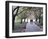 Spring Cherry Blossom, Brooklyn Botanical Garden, Brooklyn-Christian Kober-Framed Photographic Print