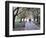 Spring Cherry Blossom, Brooklyn Botanical Garden, Brooklyn-Christian Kober-Framed Photographic Print