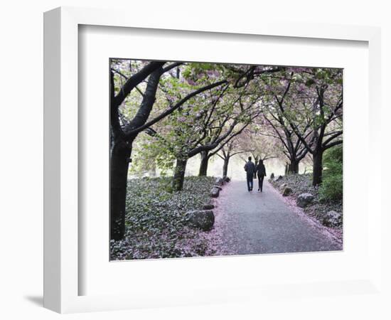 Spring Cherry Blossom, Brooklyn Botanical Garden, Brooklyn-Christian Kober-Framed Photographic Print