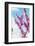 Spring Cherry Blossom Festival, Jinhei, South Korea, Asia-Christian Kober-Framed Photographic Print