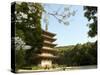 Spring Cherry Blossom, Kyoto City, Honshu Island, Japan-Christian Kober-Stretched Canvas