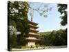 Spring Cherry Blossom, Kyoto City, Honshu Island, Japan-Christian Kober-Stretched Canvas