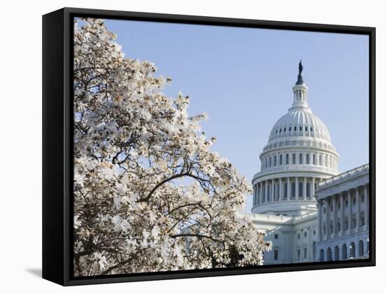 Spring Cherry Blossom, the Capitol Building, Capitol Hill, Washington D.C.-Christian Kober-Framed Stretched Canvas