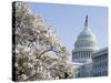 Spring Cherry Blossom, the Capitol Building, Capitol Hill, Washington D.C.-Christian Kober-Stretched Canvas
