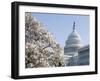 Spring Cherry Blossom, the Capitol Building, Capitol Hill, Washington D.C.-Christian Kober-Framed Photographic Print