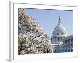 Spring Cherry Blossom, the Capitol Building, Capitol Hill, Washington D.C.-Christian Kober-Framed Photographic Print