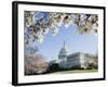 Spring Cherry Blossom, the Capitol Building, Capitol Hill, Washington D.C.-Christian Kober-Framed Photographic Print