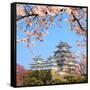 Spring Cherry Blossoms and the Main Tower of the UNESCO World Heritage Site: Himeji Castle, also Ca-S R Lee Photo Traveller-Framed Stretched Canvas