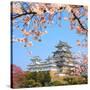 Spring Cherry Blossoms and the Main Tower of the UNESCO World Heritage Site: Himeji Castle, also Ca-S R Lee Photo Traveller-Stretched Canvas