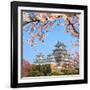 Spring Cherry Blossoms and the Main Tower of the UNESCO World Heritage Site: Himeji Castle, also Ca-S R Lee Photo Traveller-Framed Photographic Print