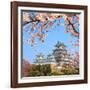 Spring Cherry Blossoms and the Main Tower of the UNESCO World Heritage Site: Himeji Castle, also Ca-S R Lee Photo Traveller-Framed Photographic Print