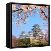 Spring Cherry Blossoms and the Main Tower of the UNESCO World Heritage Site: Himeji Castle, also Ca-S R Lee Photo Traveller-Framed Stretched Canvas