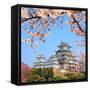 Spring Cherry Blossoms and the Main Tower of the UNESCO World Heritage Site: Himeji Castle, also Ca-S R Lee Photo Traveller-Framed Stretched Canvas