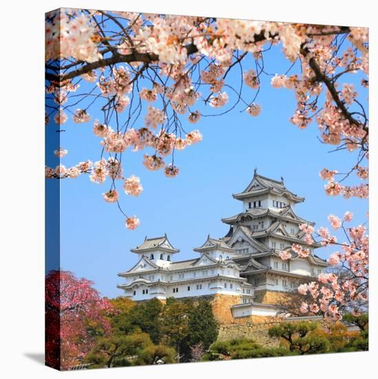 Spring Cherry Blossoms and the Main Tower of the UNESCO World Heritage Site: Himeji Castle, also Ca-S R Lee Photo Traveller-Stretched Canvas