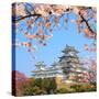 Spring Cherry Blossoms and the Main Tower of the UNESCO World Heritage Site: Himeji Castle, also Ca-S R Lee Photo Traveller-Stretched Canvas