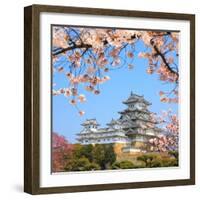 Spring Cherry Blossoms and the Main Tower of the UNESCO World Heritage Site: Himeji Castle, also Ca-S R Lee Photo Traveller-Framed Photographic Print