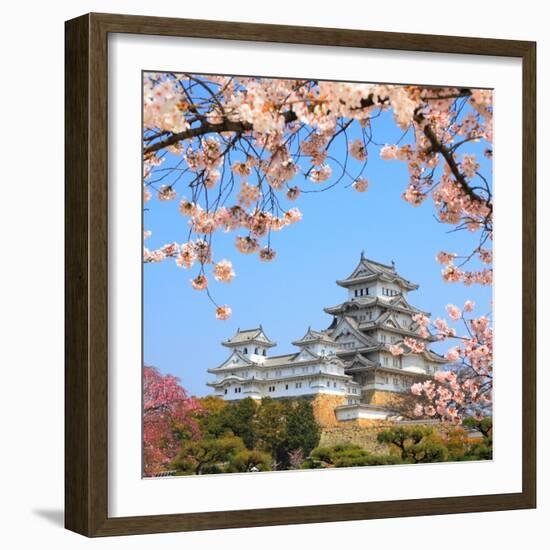 Spring Cherry Blossoms and the Main Tower of the UNESCO World Heritage Site: Himeji Castle, also Ca-S R Lee Photo Traveller-Framed Photographic Print